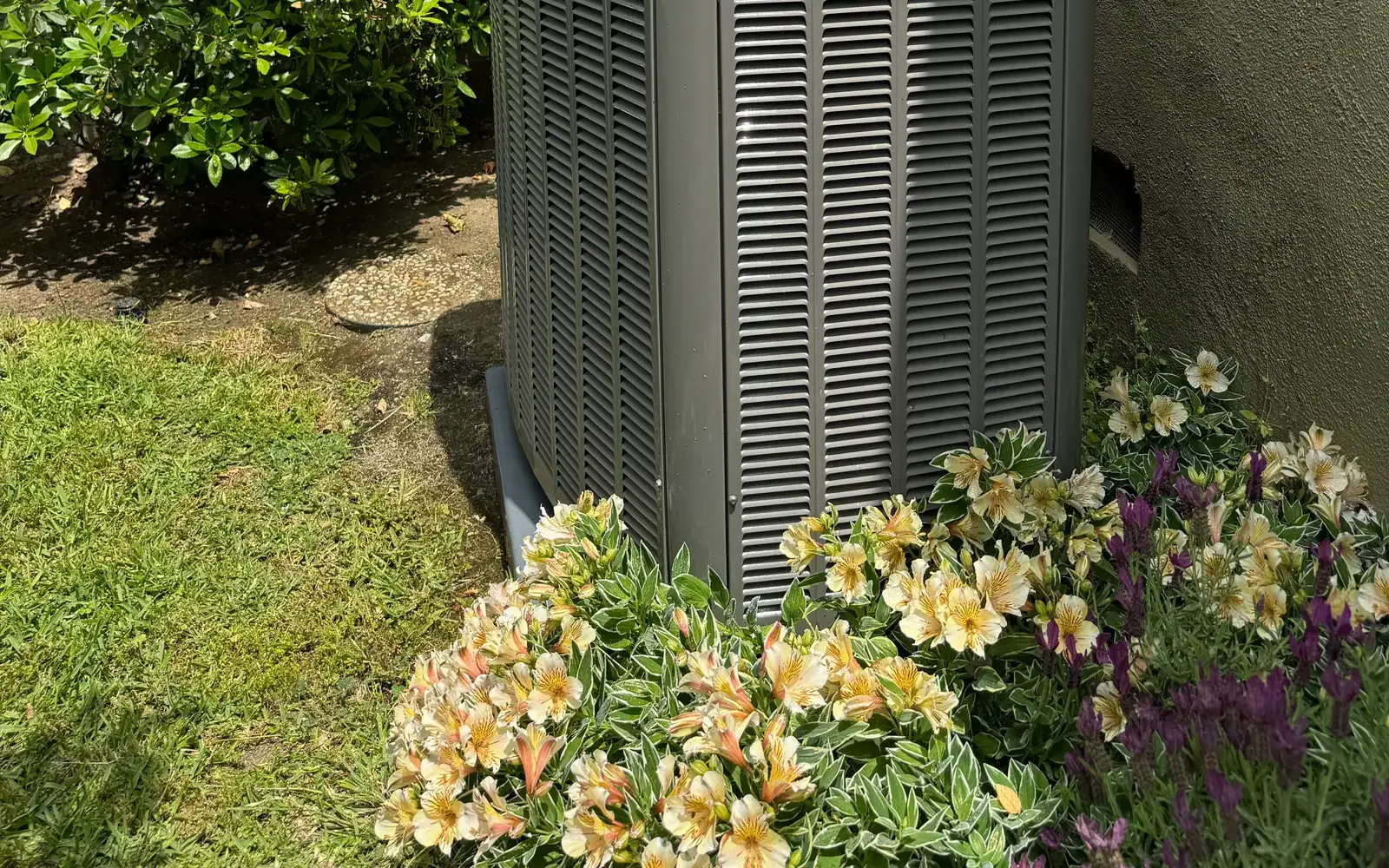 Experience Top-Tier Indoor Air Quality at Your Home